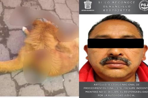 Detienen a carnicero que apuñaló a perro en tianguis de Toluca